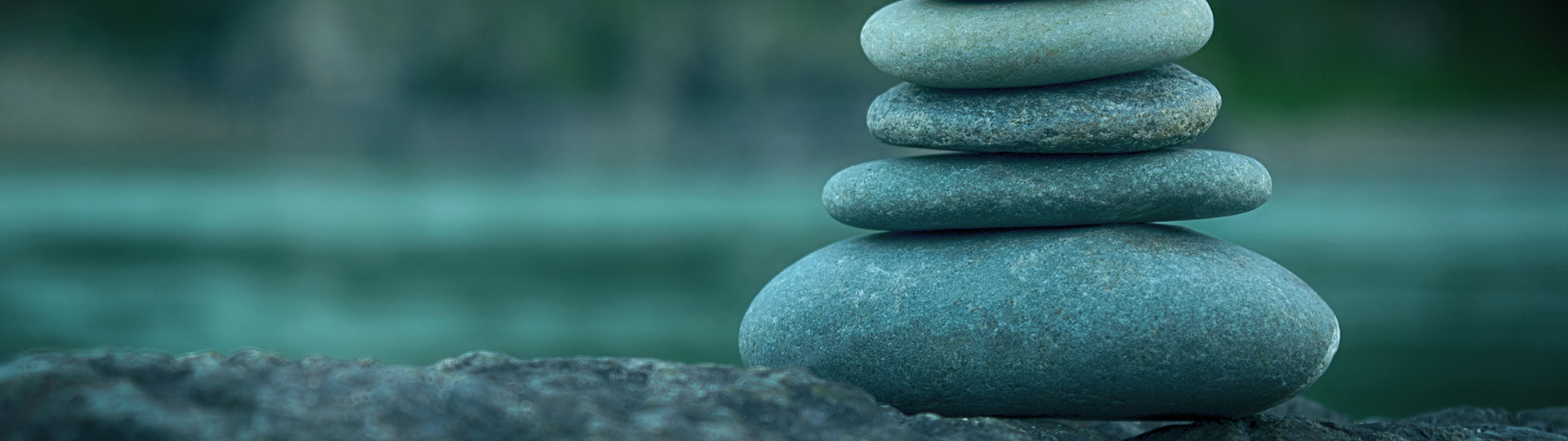 online counseling services, family counseling, addiction & substance abuse therapy, trauma/PTSD, stress, generalized anxiety, family counseling, complicated grief, sexual abuse, emotional and physical abuse, 
                    cognitive processing therapy, couples counseling, supervised visitations, group therapy, play therapy, leraning disabilities, Autism, reiki, eye movement desensitization & reprocessing (EMDR), ADD/ADHD